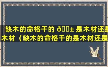 缺木的命格干的 🐱 是木材还是木材（缺木的命格干的是木材还是木材呢）